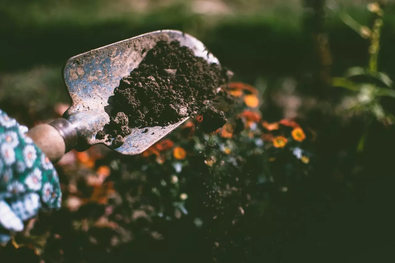 How to Improve Quality Of Soil And Information About Soil
